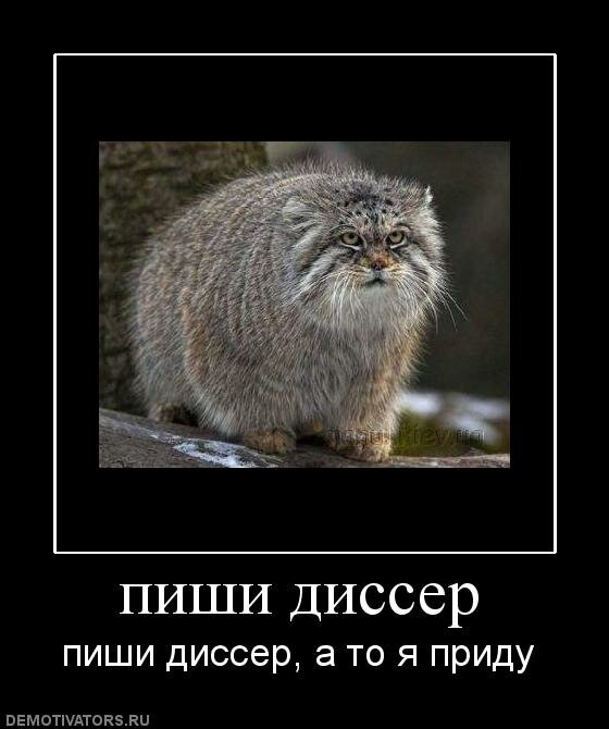 Новые правила поступления в аспирантуру
